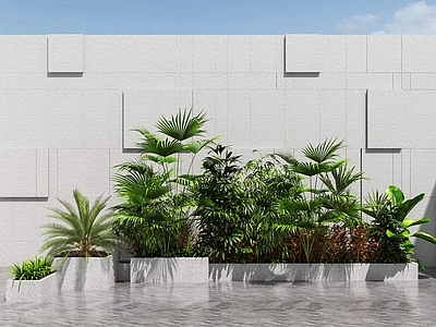 现代植物堆