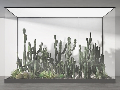 现代植物堆 仙人掌 热带植物 盆景 绿植 灌木 植物 景观植物