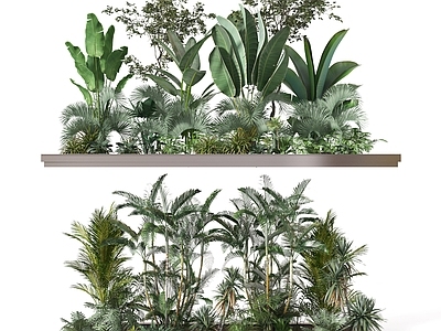 现代植物堆 绿植堆 灌木 植物 绿植 景观植物 绿化带