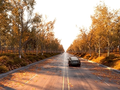 现代道路设施 黄色树木 道路