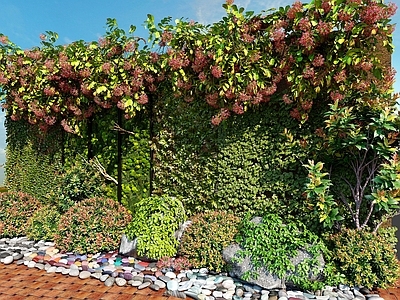 现代植物墙 植物堆 绿植墙 花草 花卉 植物墙 绿植 花
