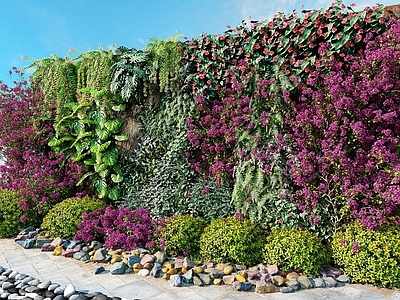 现代植物墙 植物堆 绿植墙 花草 花卉 植物墙 盆栽 绿植 花园