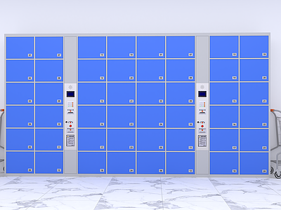 现代商场储物柜 成人 金属