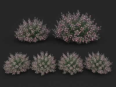 现代花草组合