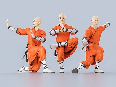 现代少林和尚 武僧 武术 太极 十二铜人