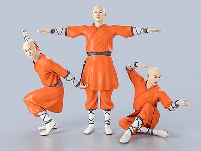 现代少林和尚 武僧 武术 太极 十二铜人