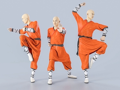 现代少林和尚 武僧 武术 太极 十二铜人