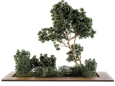 现代植物堆