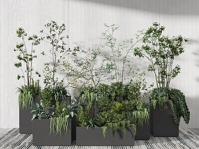 现代花箱 盆景 植物堆 绿植堆 植物