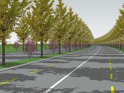 现代道路