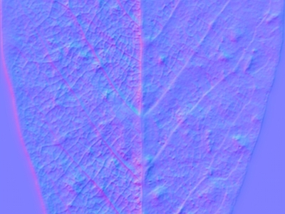 其他法线