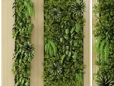 现代绿植墙