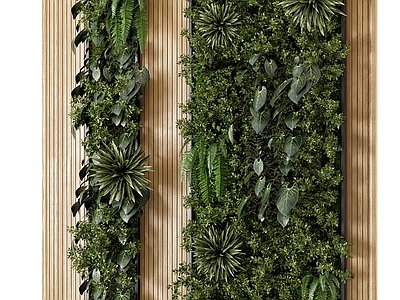 现代植物墙