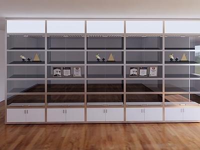 现代展示柜
