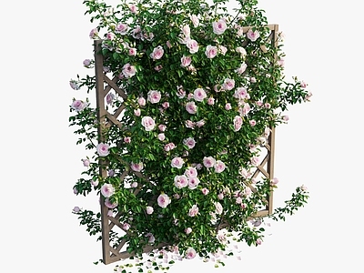 现代绿植墙