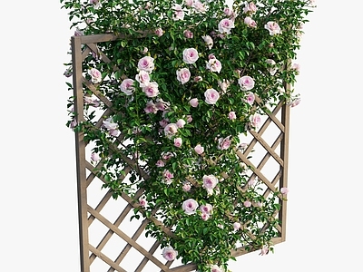 现代绿植墙