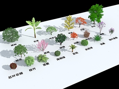 现代花草组合
