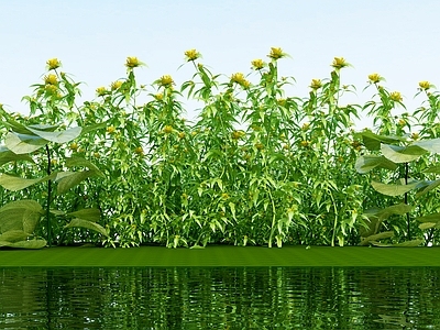 现代花草组合