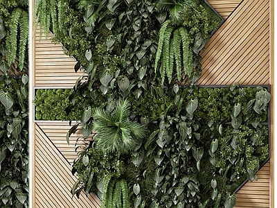 现代绿植墙