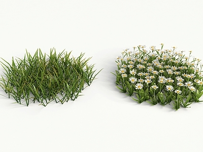 现代花草组合