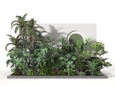 现代植物堆 植物 盆景 植物组合 灌木 绿化带