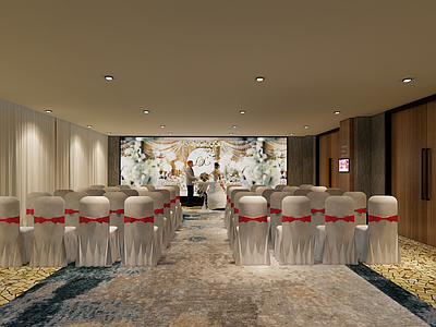 现代酒店宴会厅 婚礼宴会厅