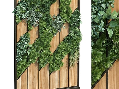 现代绿植墙 植物墙 苔藓 植物架