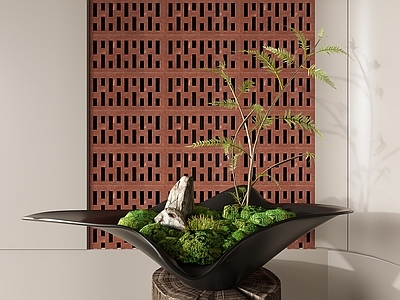 新中式蕨类盆栽 摆件 摆件 禅意摆件 蕨类盆景 盆景 小品 桌面