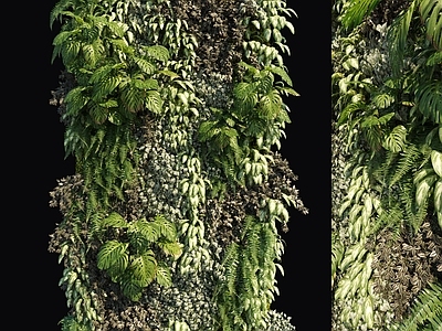 现代绿植墙