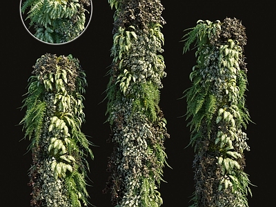 现代绿植墙 植物墙
