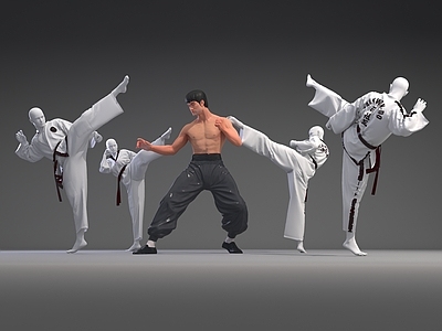 现代李小龙 武术人物