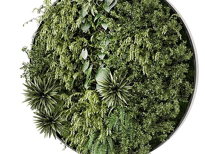 现代绿植墙 圆形墙