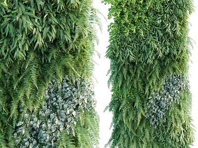 现代绿植墙 植物墙