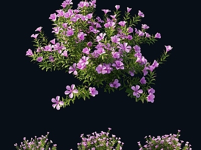 现代花草组合