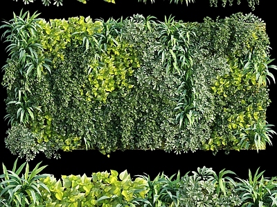现代绿植墙 植物墙