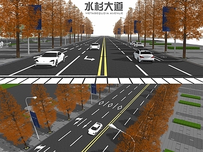 现代道路景观 水杉 水杉大道 街道景观 马路 公路