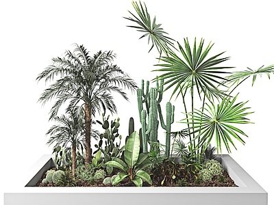 现代植物堆 灌木