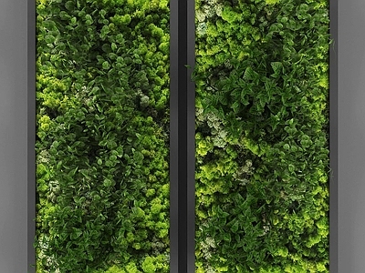 现代绿植墙 植物墙