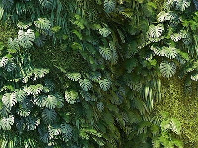 现代绿植墙 植物墙