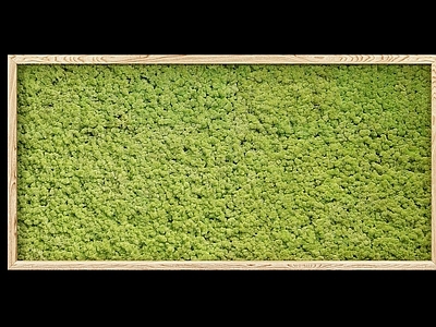 现代绿植墙 软装单体 植物花草