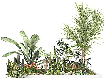 现代植物堆