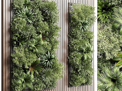 现代绿植墙