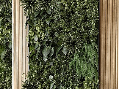 绿植墙