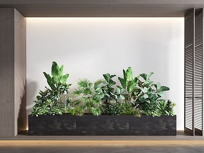 现代植物堆