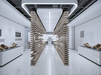 现代环保展厅 建材展厅 木板展厅