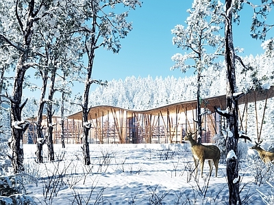 现代廊架 雪景