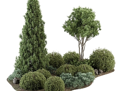 现代植物堆