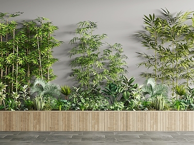现代植物堆