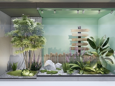 现代橱窗植物景观 庭院小品 橱窗展示 绿植景观 景观树