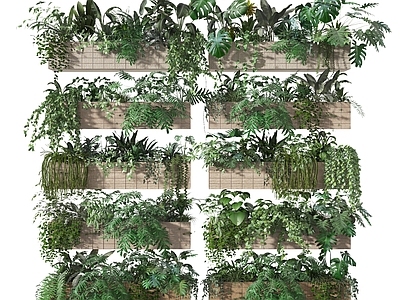 现代花箱 盆景 植物堆 堆 灌木 植物架